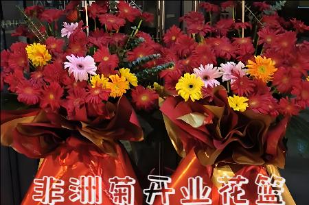 南京浦口区开业花篮